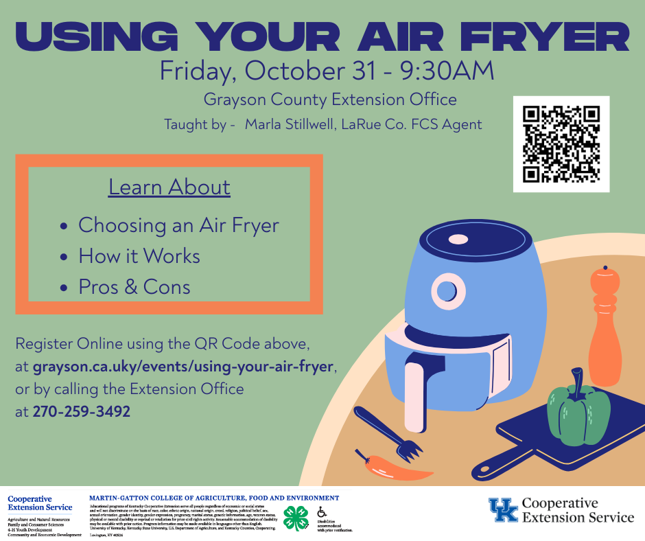Air Fryer Flyer