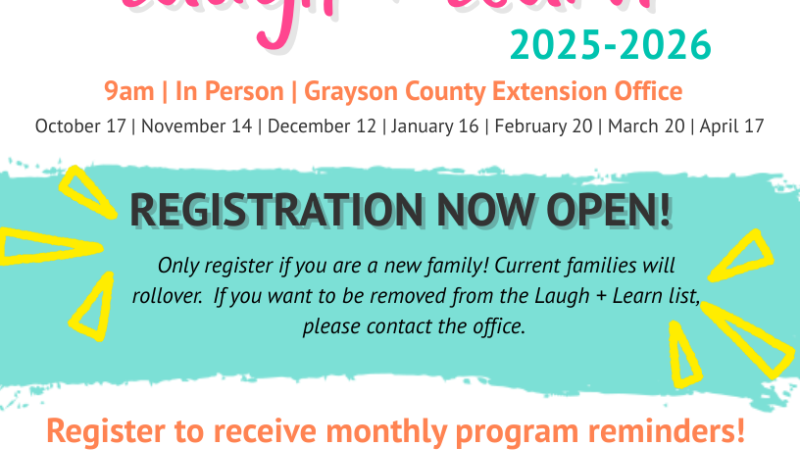 Laugh and Learn Play Date flyer
